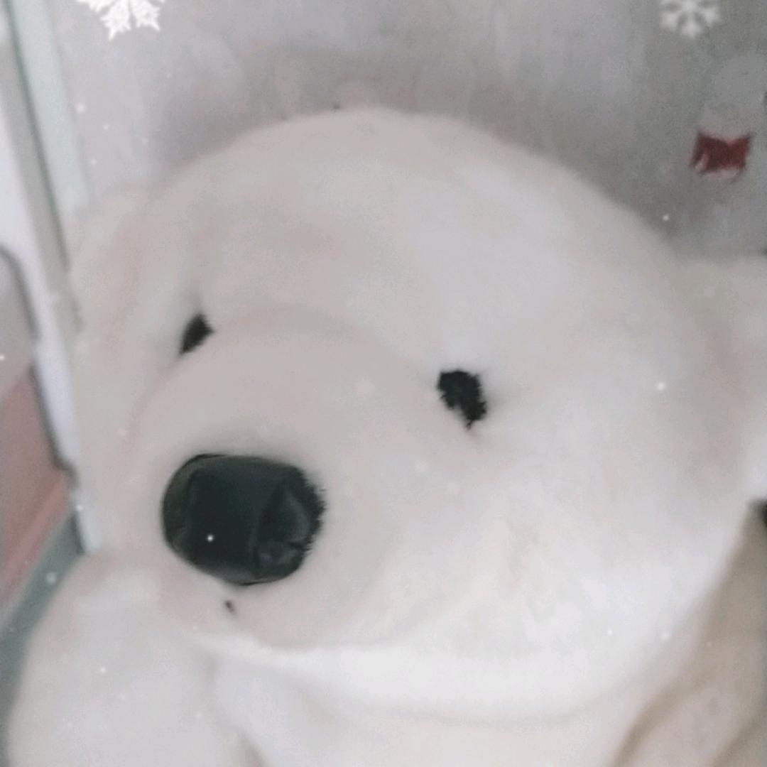 彬智