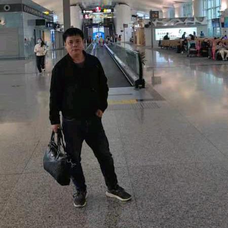 《龙行天下》
