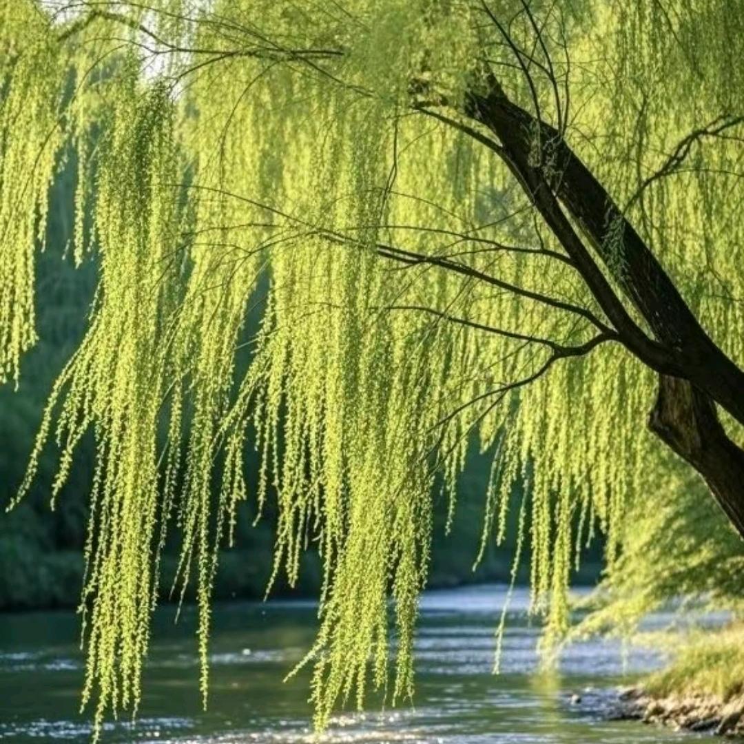 丽丽加工服装店