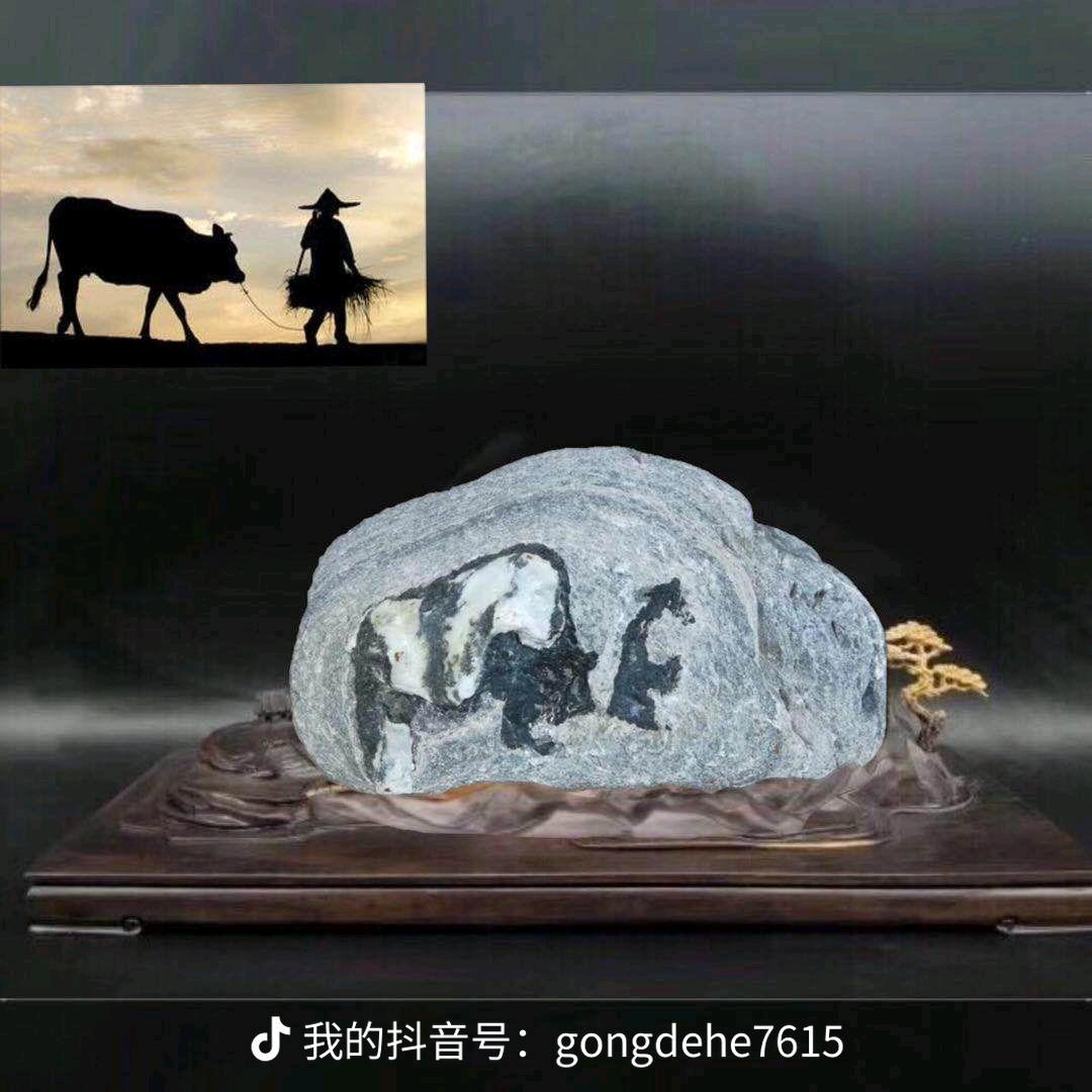 龚德合：谷城县汉江交流奇石商贸