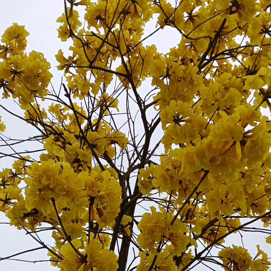 现实的你带走了我的一切