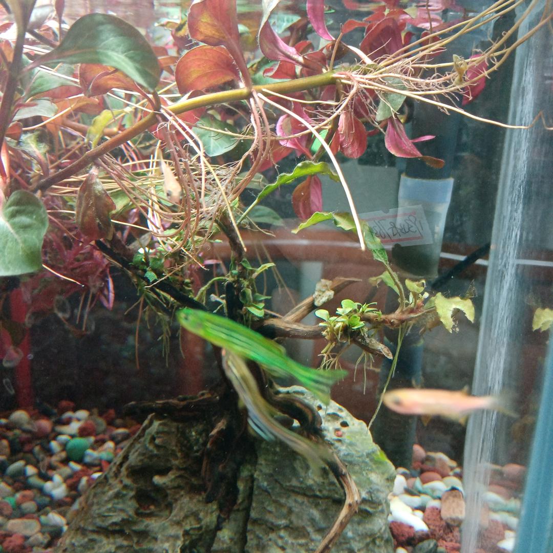 允许一切的发生