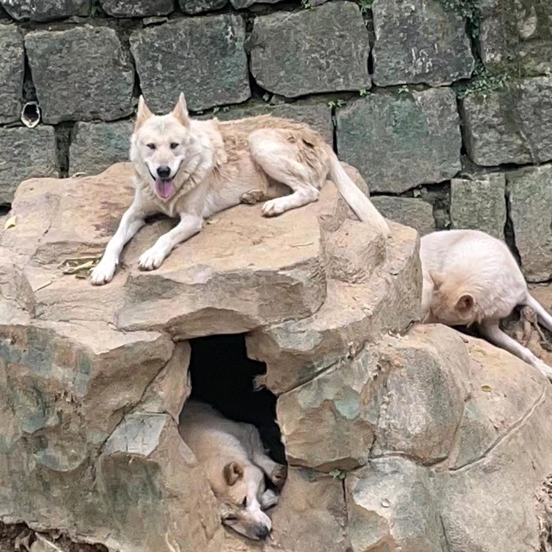 曝光织里老赖，大家一起曝光