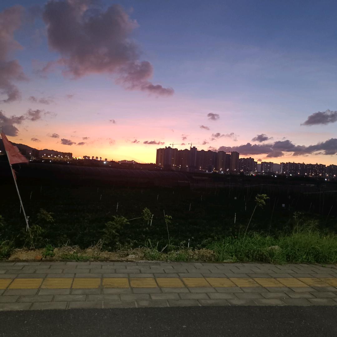 依哥