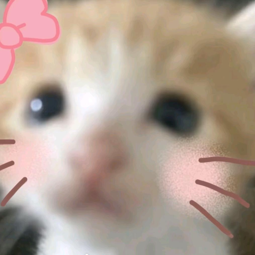 可爱起来要人命