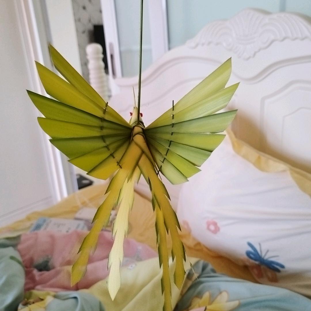 用户不存在