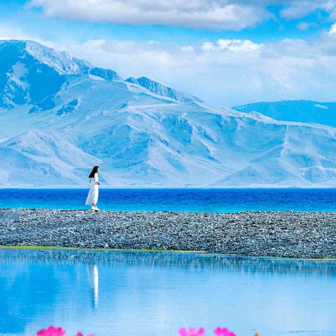 看主業令页视频✨