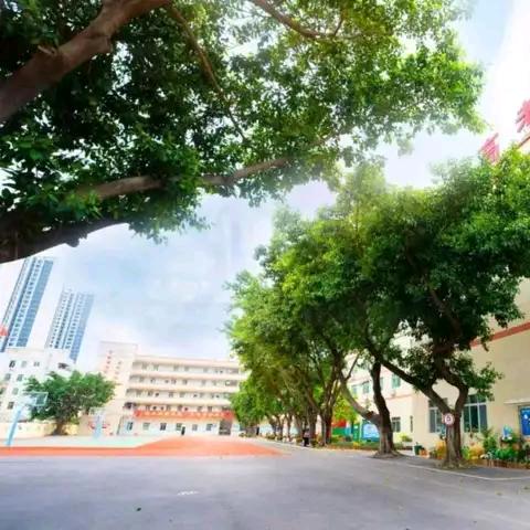 惠州市多智慧教育咨询