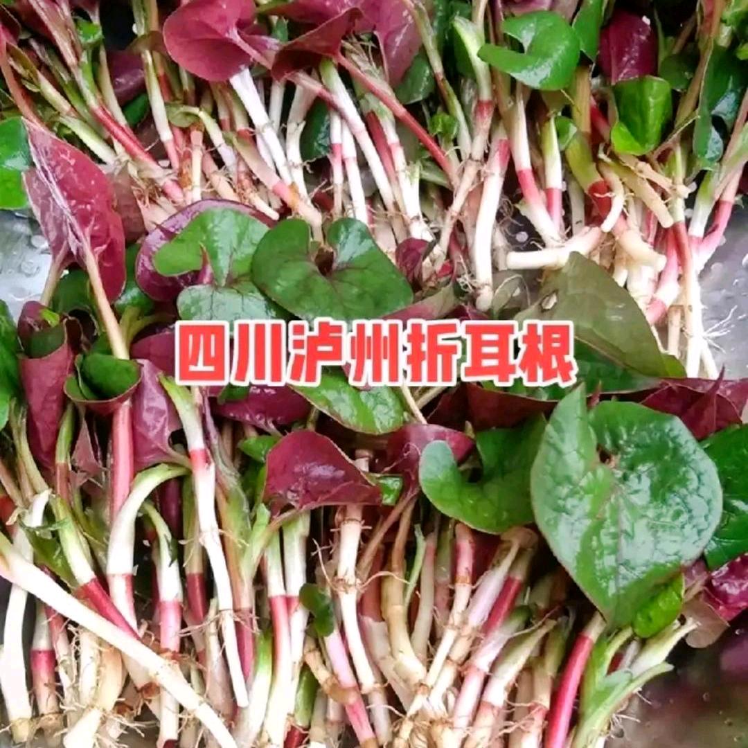 不忘初心牢记使命