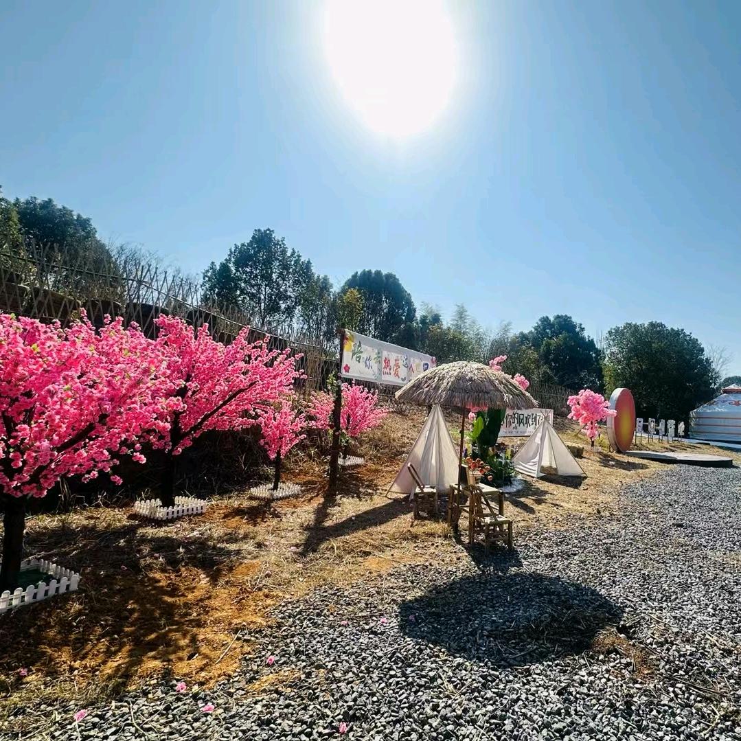 凤凰姐绿景山庄