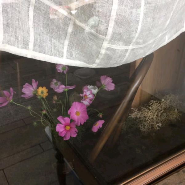 𝗠𝗮𝗸𝗮𝗯𝗮𝗸𝗮！