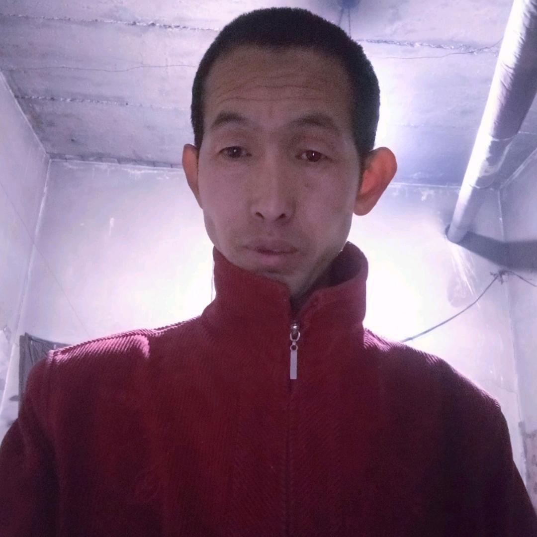南方有佳人