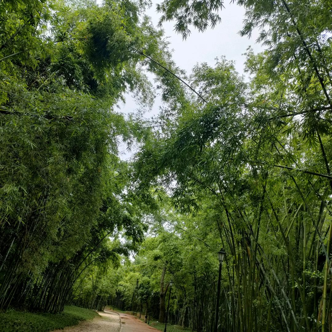 清凉夏日