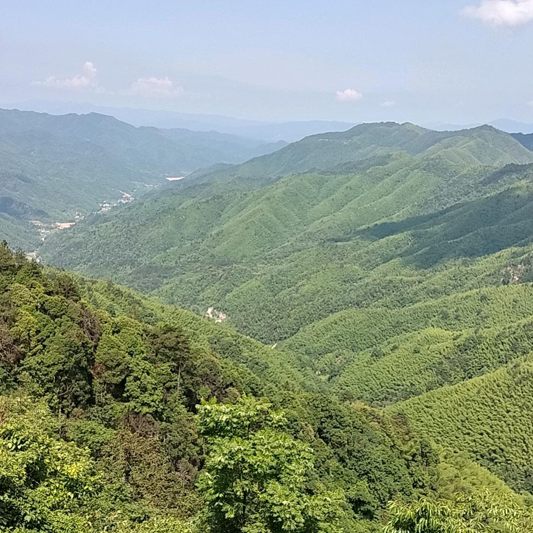 兮栀