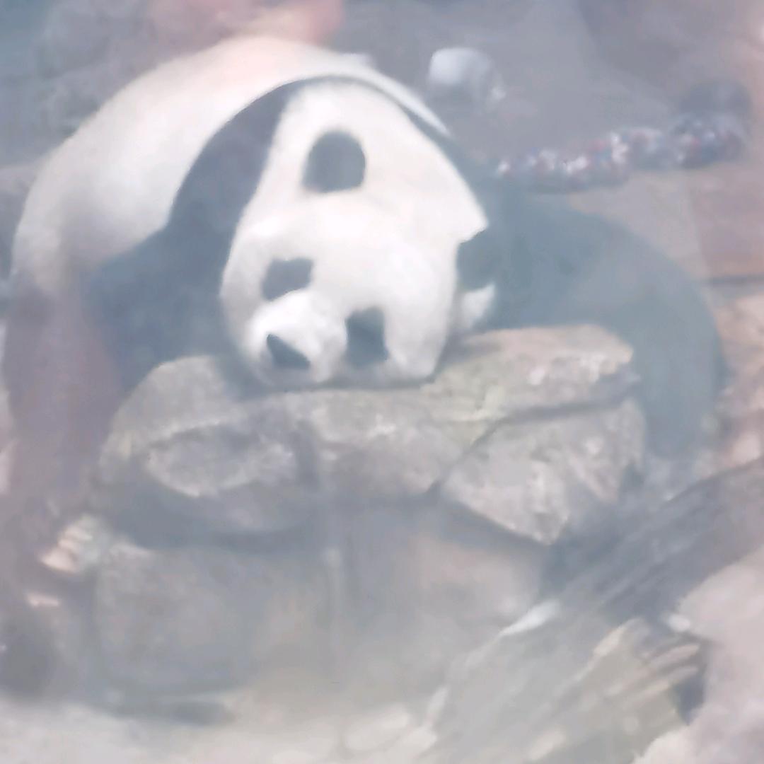 生活给了我什么。。。