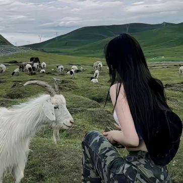 人间清醒一流姐