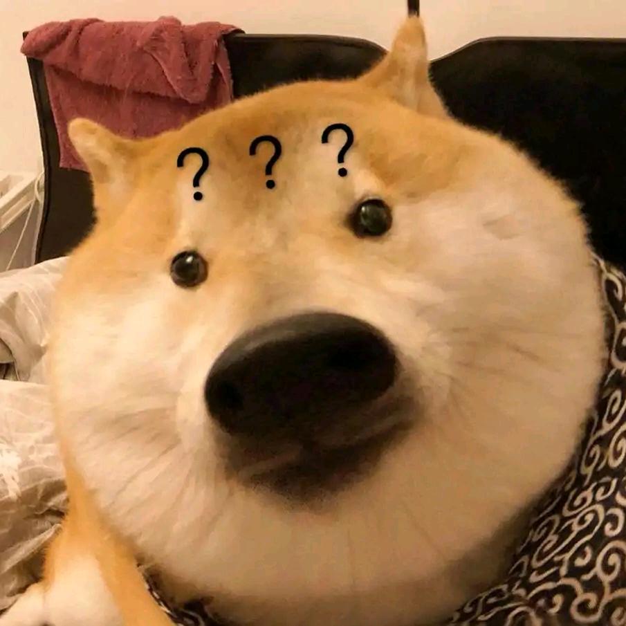 栋栋宠物之家