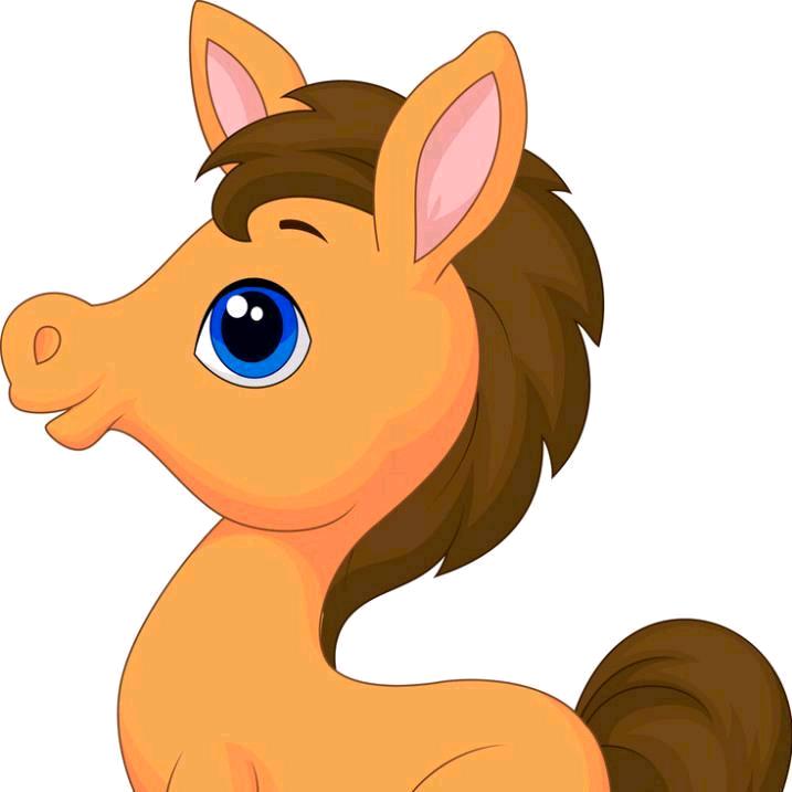 云开雾散🌺🌺