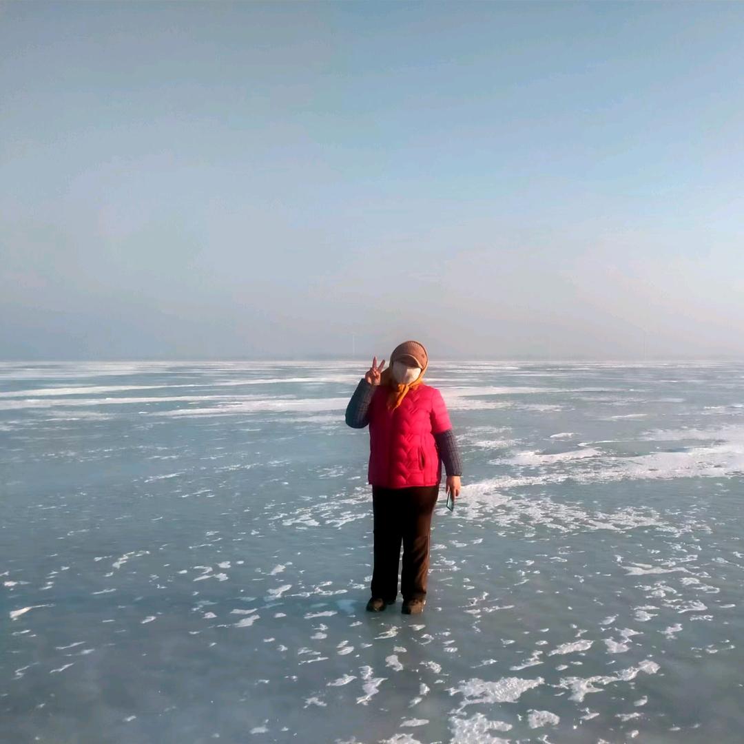 海花