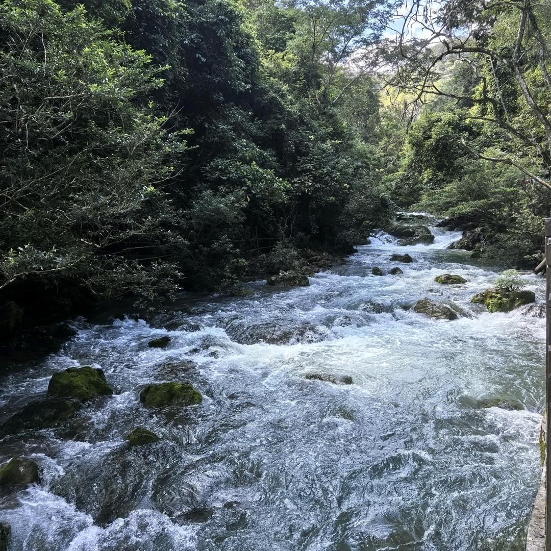 铁麒麟