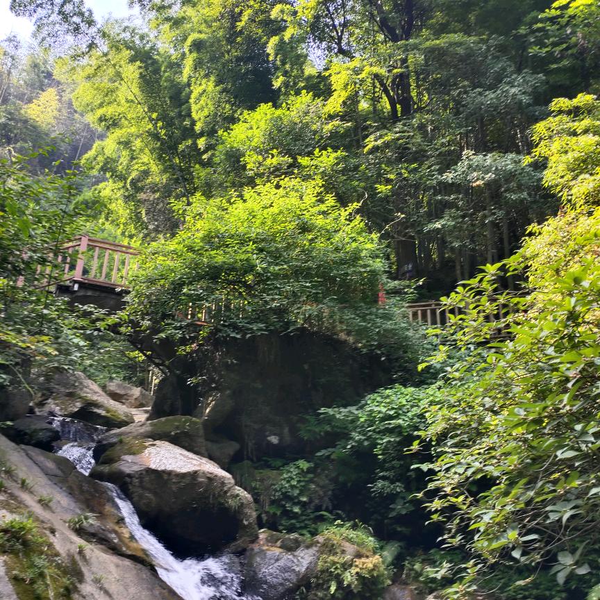 顺星家电维修部