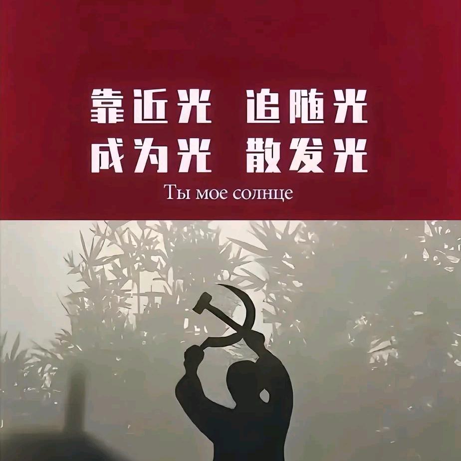 枯木新芽