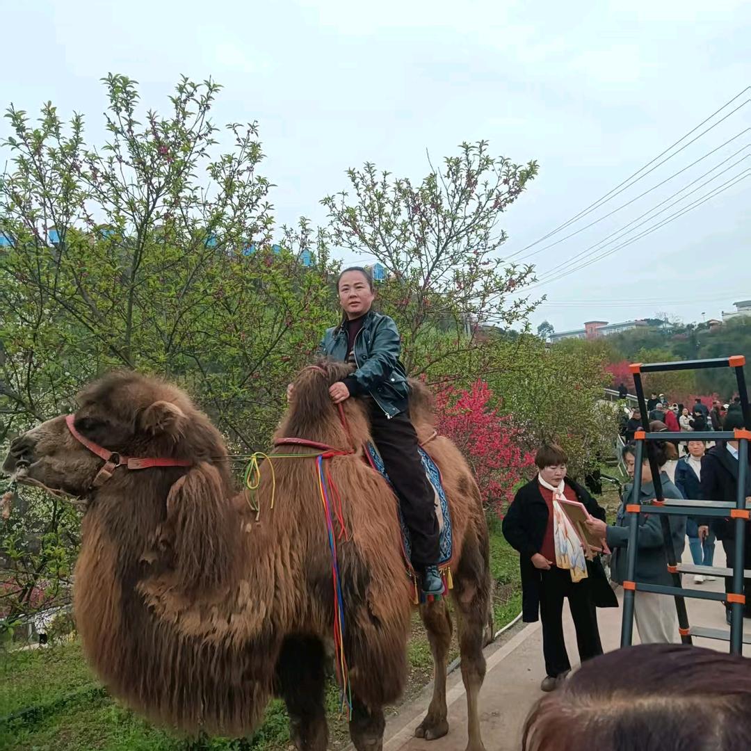 回不去从前