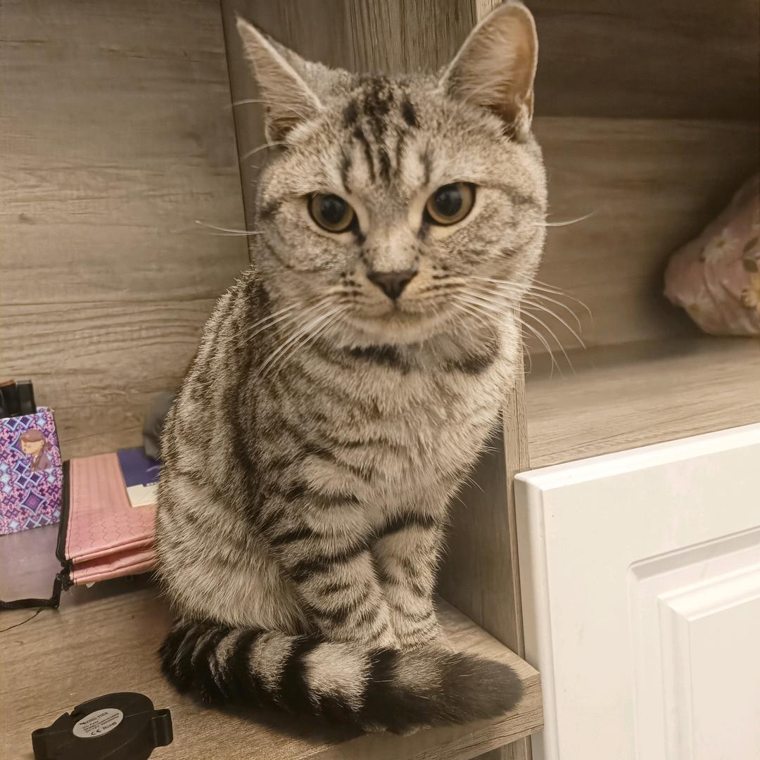 @有亿点点……
