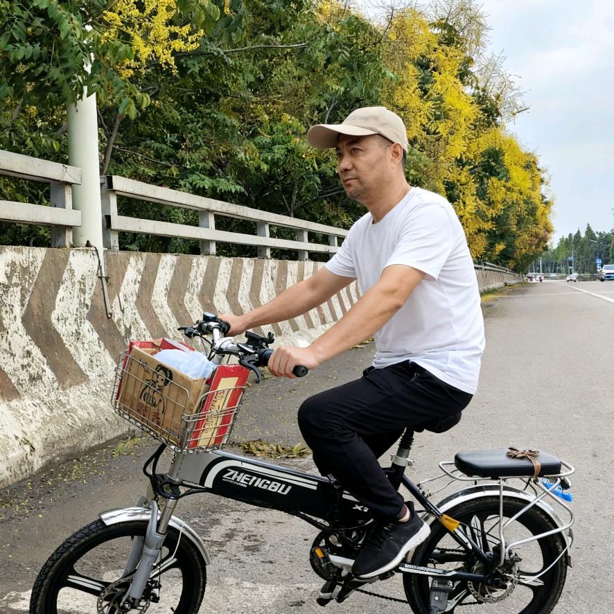 同心圆