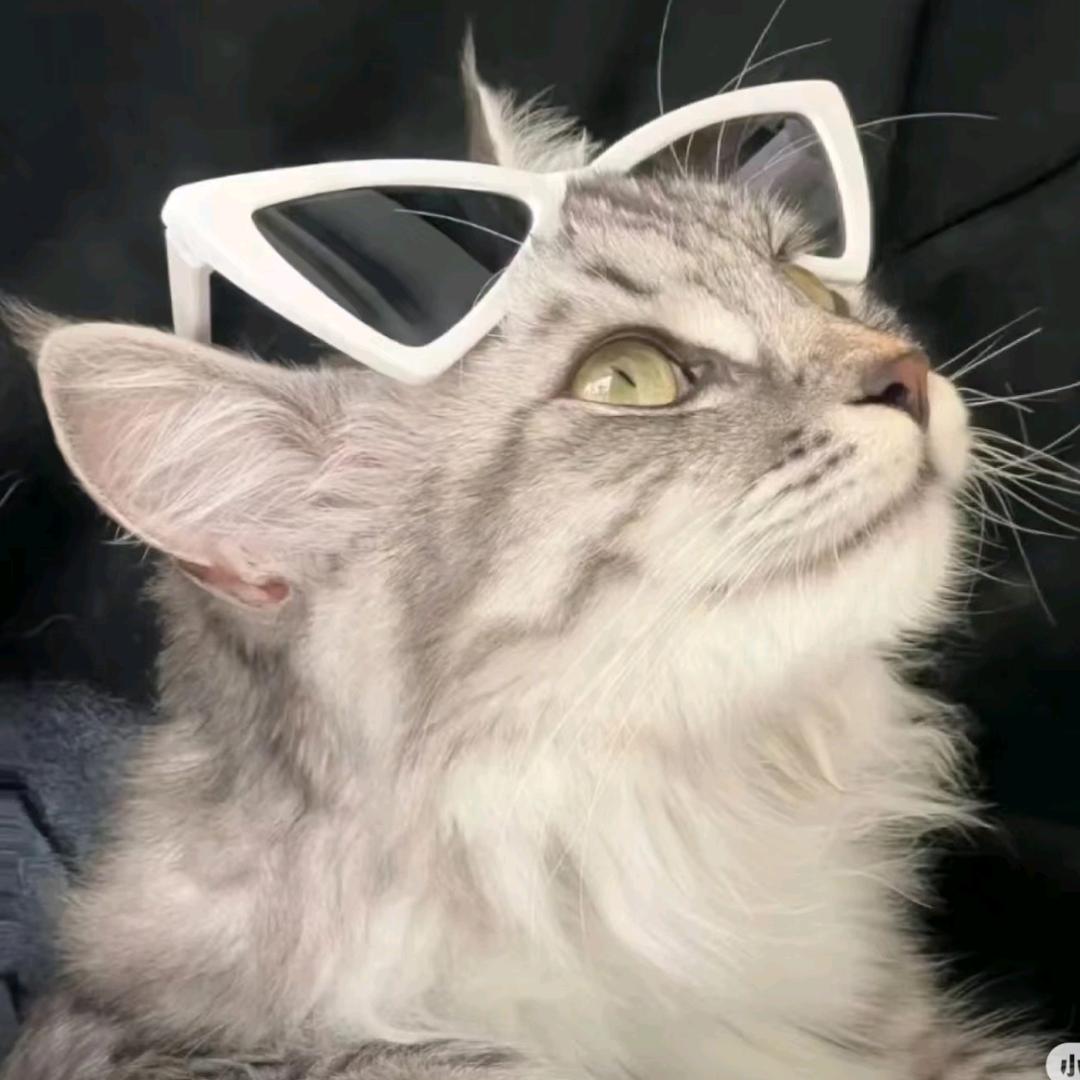 洛阳化妆师-柒柒