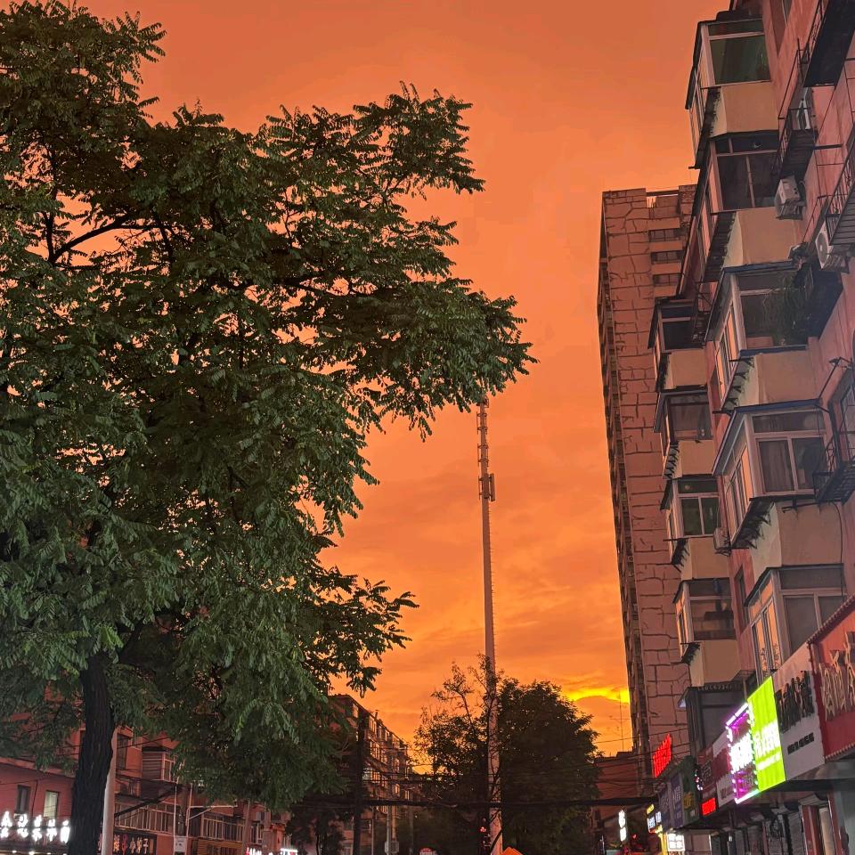 重生之我在沈阳骑仿赛跑腿