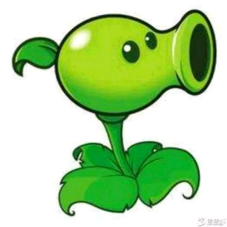 豌豆先生