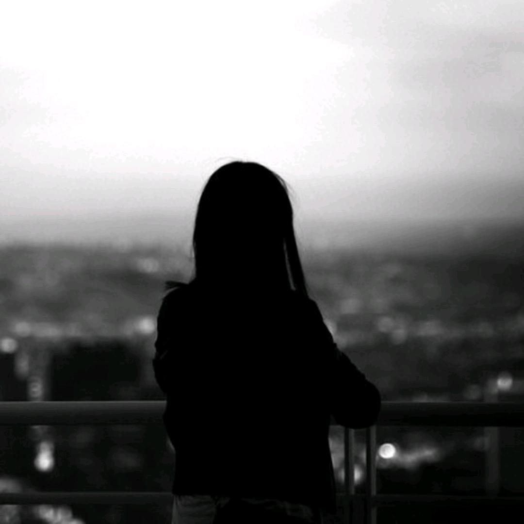 海底世界的小鲨鱼🦈