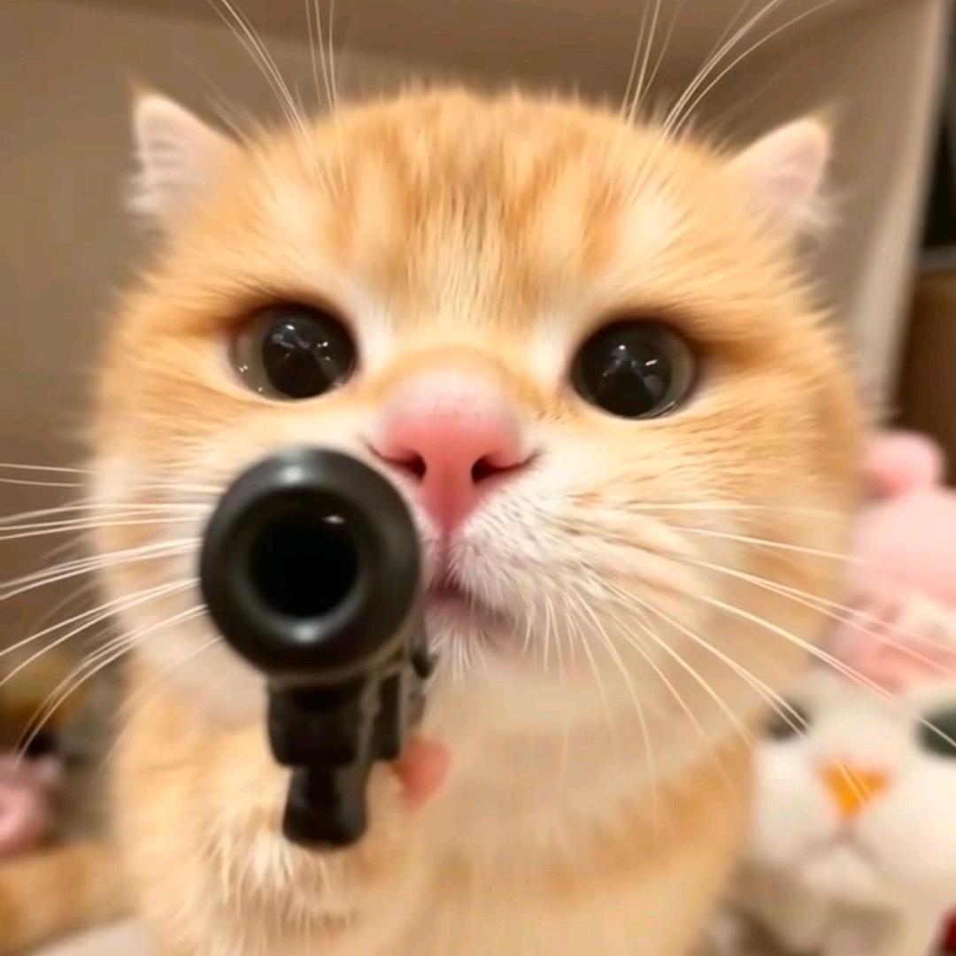 小虎（FiFA online4）