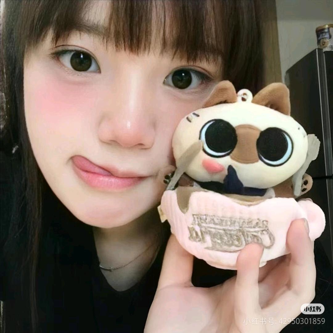 猫猫回音