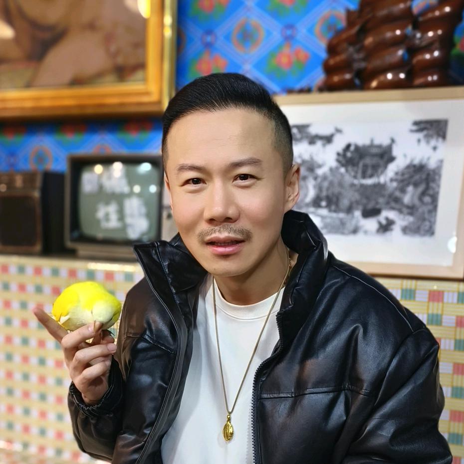 张子强/刘老根大舞台