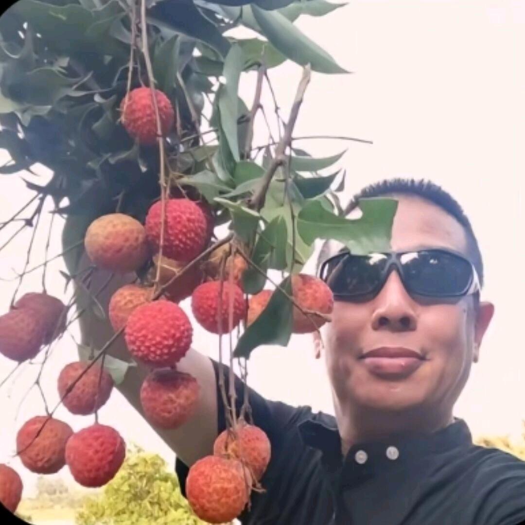 咕噜咕噜