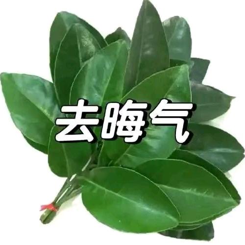 或许有或许.
