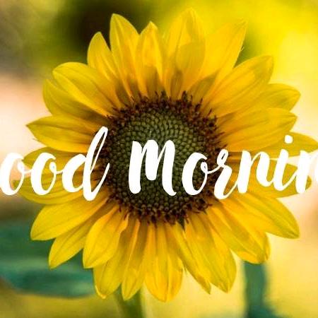 溜溜小球🌻