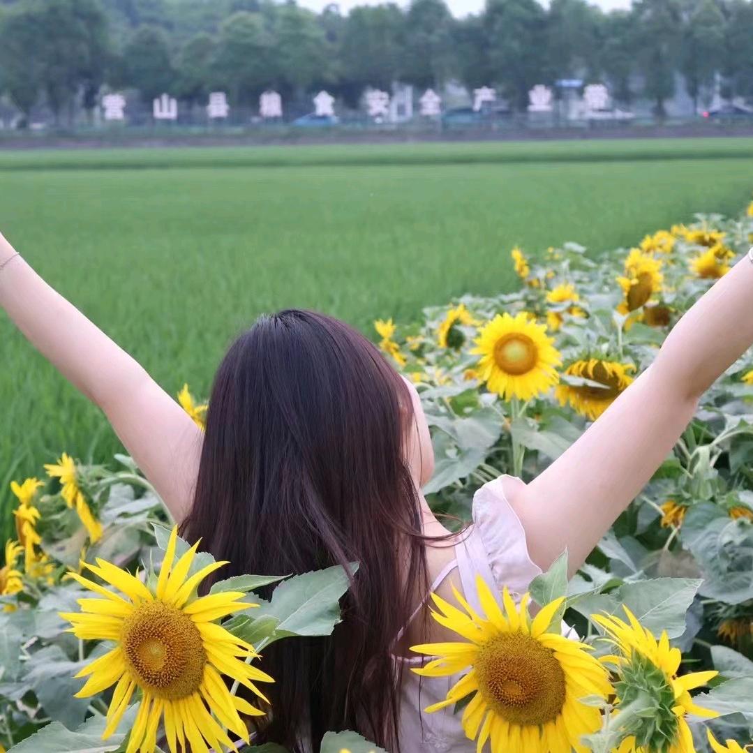 成都歌华教育咨询有限公司