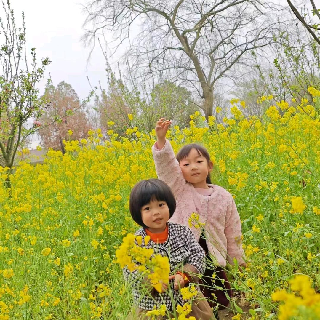春花