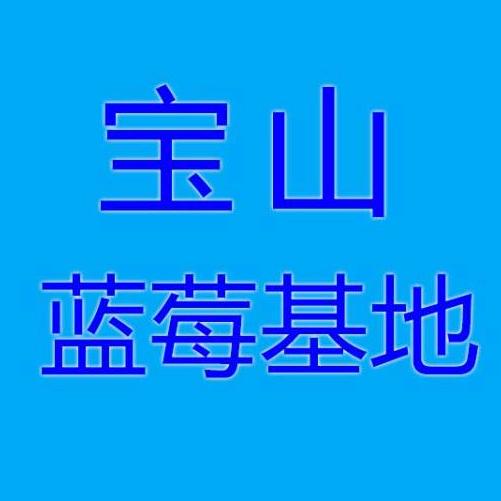 宝山蓝莓基地