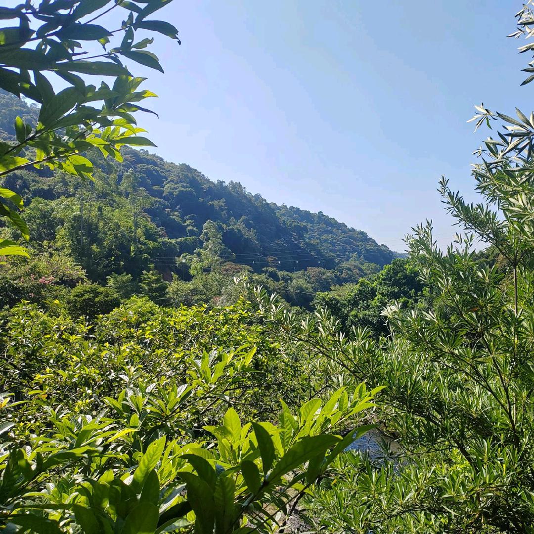小飞侠