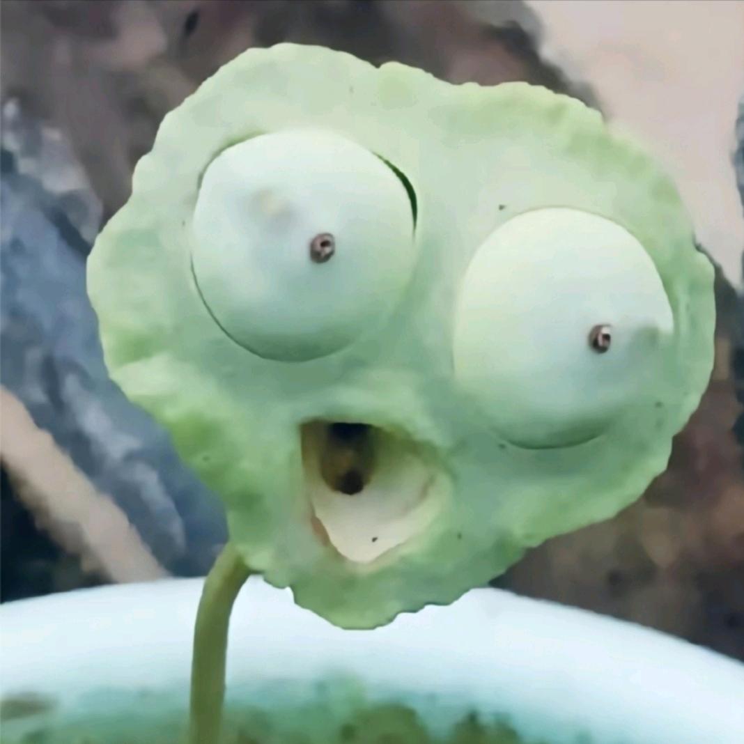 卡ll头像