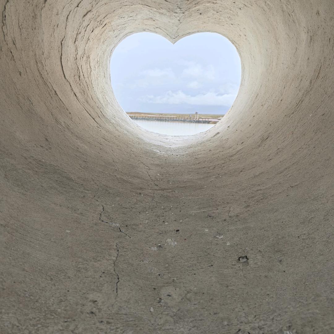 慎行