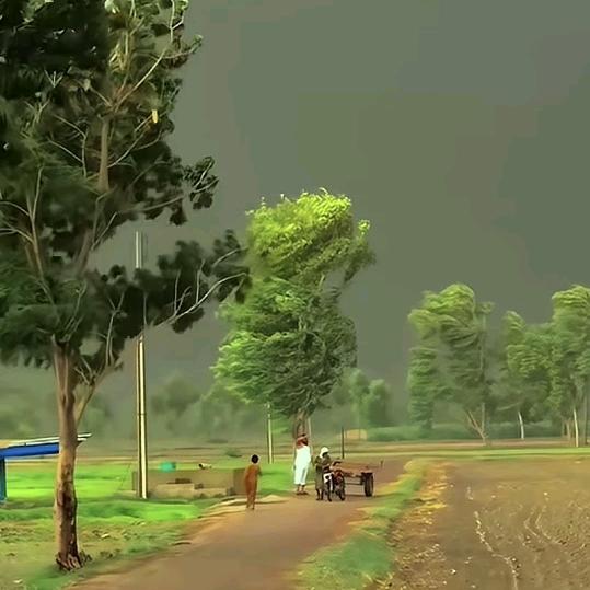 除了我还有谁