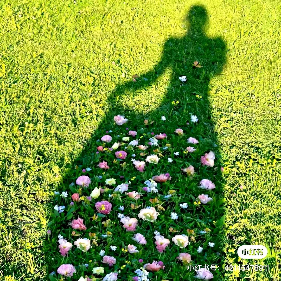 野花做了场玫瑰梦🌹