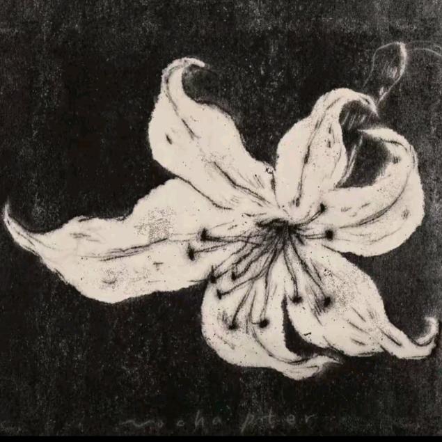 ╭┄┄❤一路同行 ┄┄╮ ╰┄┄ 感恩有