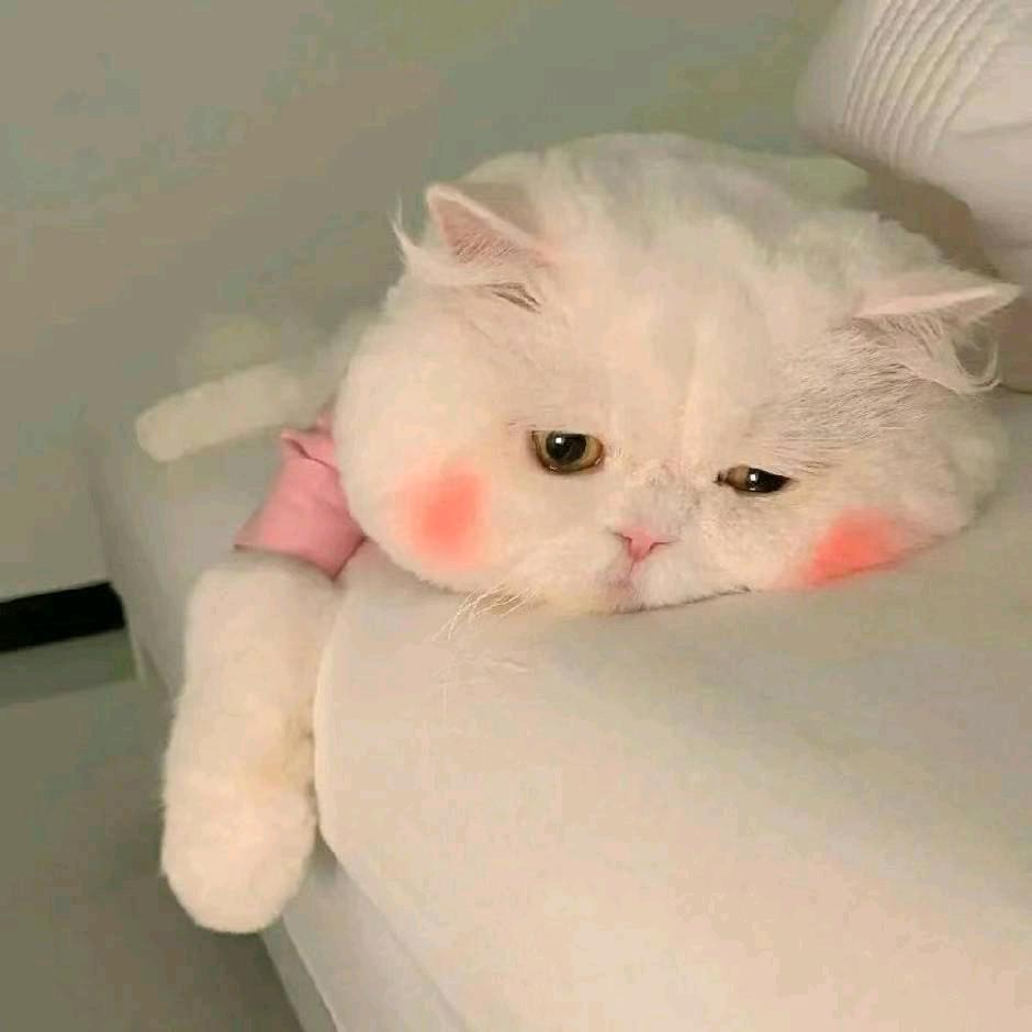 重庆二手笔记本批发