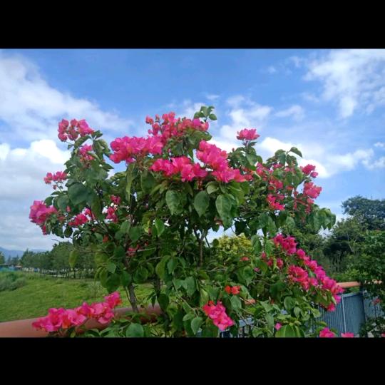 糊涂在半醉半醒之间🔥🔥🔥